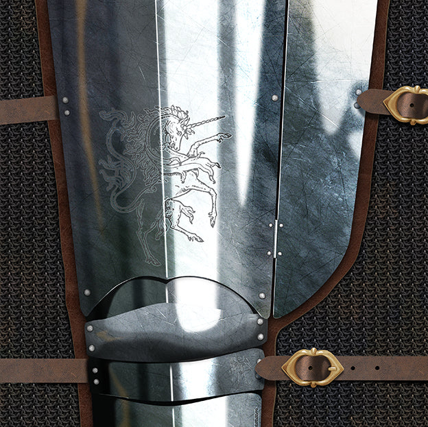 Men's : Gloryhammer : Half Armour Custom Leggings
