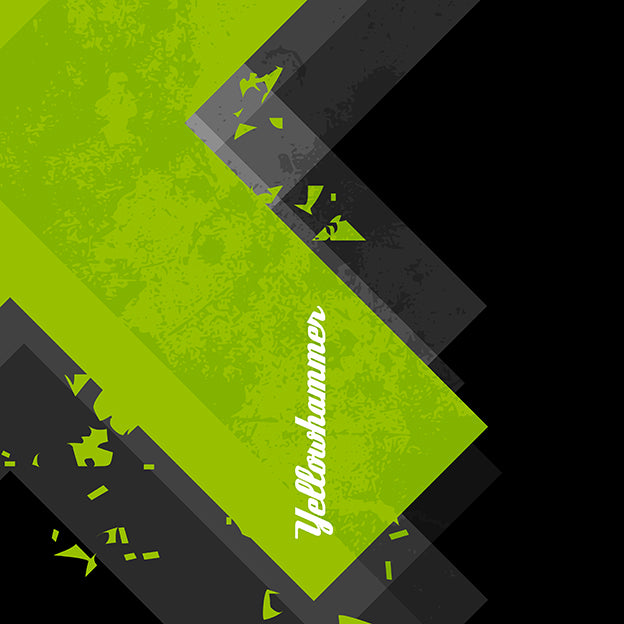 Women's Yellowhammer X leggings - Hematees